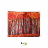 Ciacio in the Woods - Ignited Minds